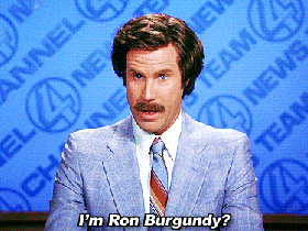 ron-burgundy.gif