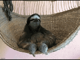 dealwithit_sloth.gif