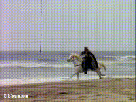 horse_escape.gif