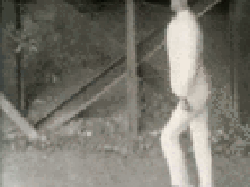 sillywalk1.gif