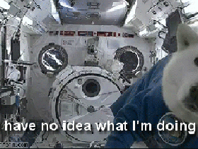 ihavenoideawhatimdoing_dog.gif