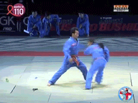 judo.gif